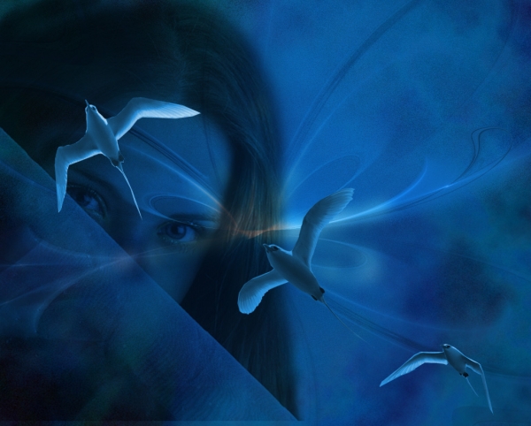 Creation of A Dream In Blue: Step 5
